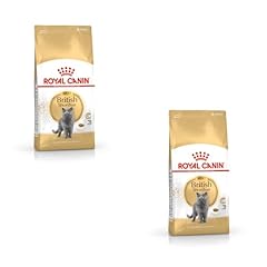 Royal canin british usato  Spedito ovunque in Italia 