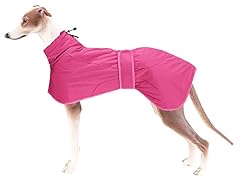 Greyhound winter coat for sale  Delivered anywhere in USA 