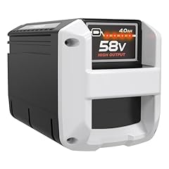 Replacement echo 58v for sale  Delivered anywhere in USA 