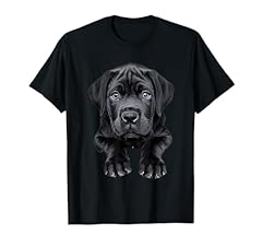 Cucciolo mastino inglese usato  Spedito ovunque in Italia 