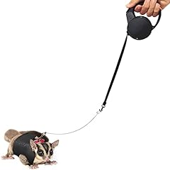 Pet adjustable retractable for sale  Delivered anywhere in USA 