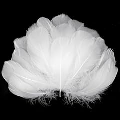 Aoote plumes blanches d'occasion  Livré partout en France