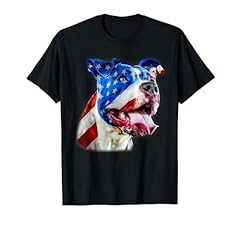 American pit bull for sale  Delivered anywhere in USA 