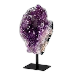 British fossils premium for sale  Delivered anywhere in UK