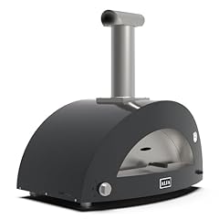 Alfa forni barbecue usato  Spedito ovunque in Italia 