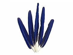 Tails feathers iridescent for sale  Delivered anywhere in USA 