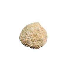 Nklaus calcit geode gebraucht kaufen  Wird an jeden Ort in Deutschland
