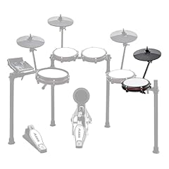 Alesis drums nitro usato  Spedito ovunque in Italia 