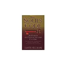 The soul code d'occasion  Livré partout en France