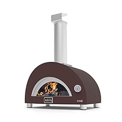 Forno per pizza usato  Spedito ovunque in Italia 