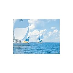 Psp spinnaker repair usato  Spedito ovunque in Italia 