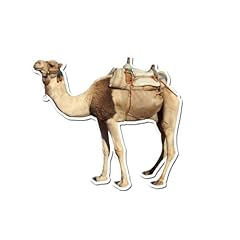 Camel saddle inch for sale  Delivered anywhere in USA 
