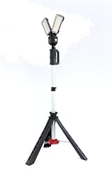 Acculux 447461 ladbarer gebraucht kaufen  Wird an jeden Ort in Deutschland