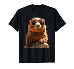 Marmotta con occhiali usato  Spedito ovunque in Italia 