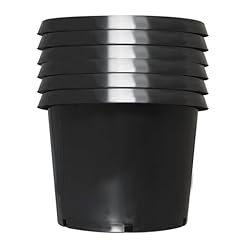 Liguvcy pack gallon for sale  Delivered anywhere in USA 