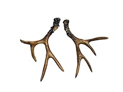Mule deer sheds for sale  Delivered anywhere in USA 