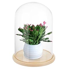 Lopyxbr glass domes for sale  Delivered anywhere in UK