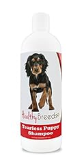 Healthy breeds cocker for sale  Delivered anywhere in USA 