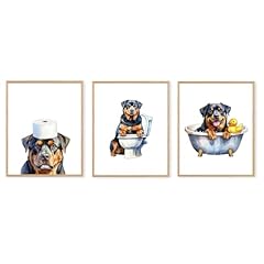 Boat wades rottweiler for sale  Delivered anywhere in USA 
