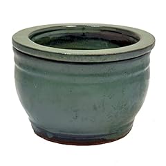 6in round african for sale  Delivered anywhere in USA 