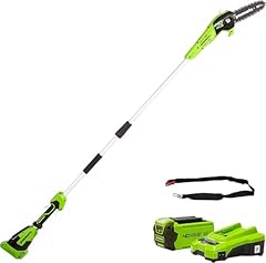 Greenworks g40psfk2 sega usato  Spedito ovunque in Italia 