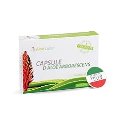Aloebeta aloe arborescens for sale  Delivered anywhere in USA 