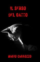 Senso del gatto usato  Spedito ovunque in Italia 