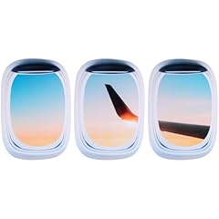 Housoutil airplane wing for sale  Delivered anywhere in USA 