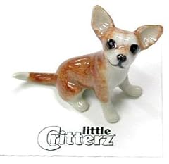 Little critterz chihuahua for sale  Delivered anywhere in USA 
