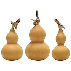 Bestoyard natural gourd for sale  Delivered anywhere in USA 