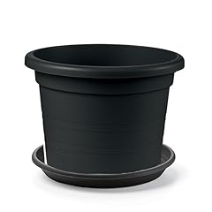 Sicignano vaso cilindro usato  Spedito ovunque in Italia 