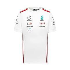 Mercedes amg petronas usato  Spedito ovunque in Italia 