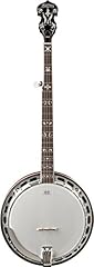 Washburn americana series for sale  Delivered anywhere in USA 