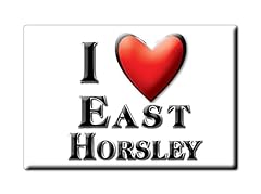 Enjoymagnets east horsley for sale  Delivered anywhere in UK