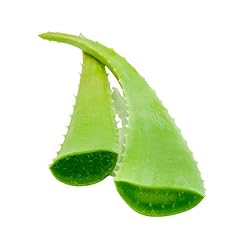 Vonderweid foglie aloe usato  Spedito ovunque in Italia 