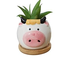 Cuteforyou succulent pots for sale  Delivered anywhere in USA 