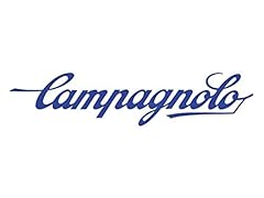 Campagnolo corona potenza usato  Spedito ovunque in Italia 