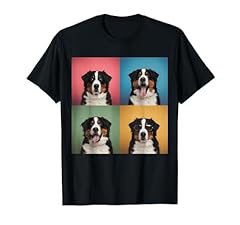 Berner berggesicht portrait gebraucht kaufen  Wird an jeden Ort in Deutschland