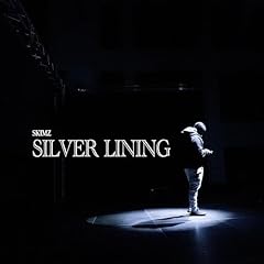 Silver lining explicit gebraucht kaufen  Wird an jeden Ort in Deutschland