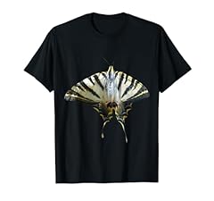 Papilio machaon coda usato  Spedito ovunque in Italia 