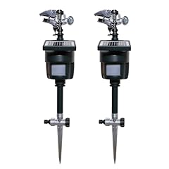 Solar motion activated for sale  Delivered anywhere in USA 