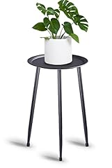 Muaeeok indoor plant for sale  Delivered anywhere in Ireland