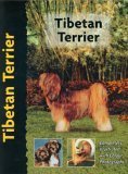 Tibetan terrier for sale  Delivered anywhere in UK