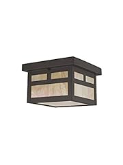 Livex lighting 2138 for sale  Delivered anywhere in USA 