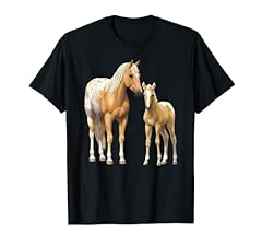 Palomino appaloosa horses for sale  Delivered anywhere in USA 