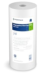 Pentair pentek dgd for sale  Delivered anywhere in USA 
