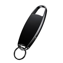Vandlion 64gb diktiergerät gebraucht kaufen  Wird an jeden Ort in Deutschland