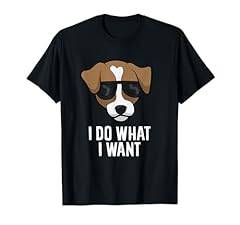 Jack russell terrier usato  Spedito ovunque in Italia 