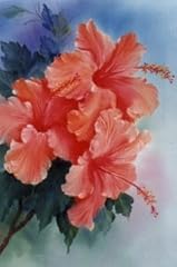 Painting packet hibiscus for sale  Delivered anywhere in USA 