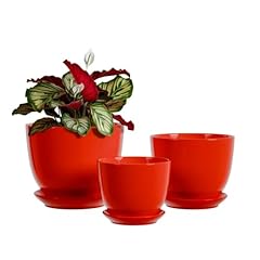 Ceramic plant pots for sale  Delivered anywhere in USA 